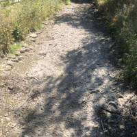 Die ausgetrocknete Gennach in Buchloe